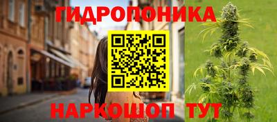 СК Обнинск
