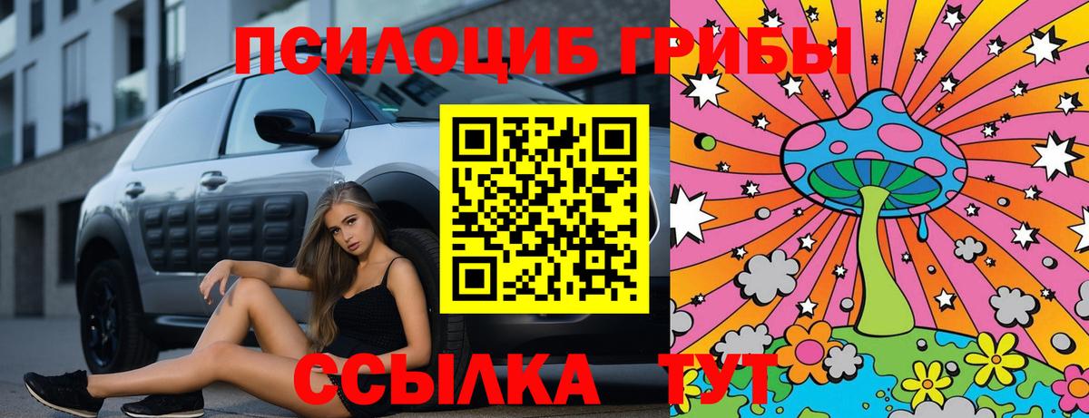 Псилоцибиновые грибы Magic Shrooms Туапсе